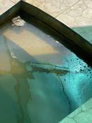 Дом отдыха Сая или как отвадить туристов