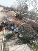 Субботник во благо