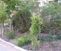 Терпение и труд — всё перетрут!