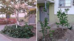 Терпение и труд — всё перетрут!