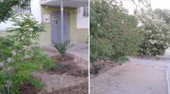 Терпение и труд — всё перетрут!