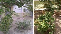 Терпение и труд — всё перетрут!