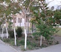 Терпение и труд — всё перетрут!