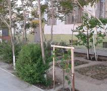 Терпение и труд — всё перетрут!