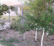 Терпение и труд — всё перетрут!