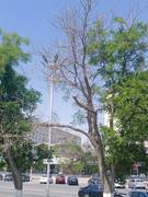 Уважаемый акимат г. Актау, примите меры!!!!