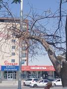 Уважаемый акимат г. Актау, примите меры!!!!