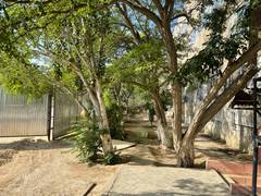 Точечная застройка 12 мкр