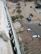 Куда обращаться в подобных случаях ?