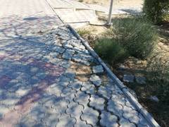 Парк Акбота