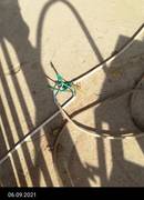 Парк Акбота