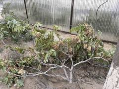 Улучшаем показатели инсоляции ВИДЕО