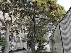 Улучшаем показатели инсоляции ВИДЕО