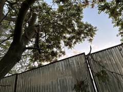 Улучшаем показатели инсоляции ВИДЕО