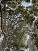 Улучшаем показатели инсоляции ВИДЕО