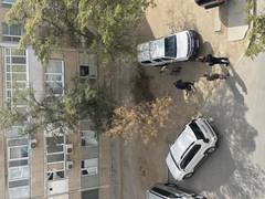 Когда перестанут вырубать зелёные деревья?!