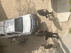 Когда перестанут вырубать зелёные деревья?!