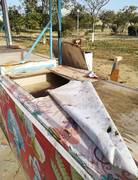 Парк "Акбота" (часть 2)