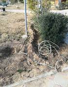 Парк "Акбота" (часть 2)