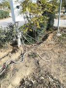 Парк "Акбота" (часть 2)