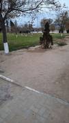 Дорожка к памятнику Тобаниязу