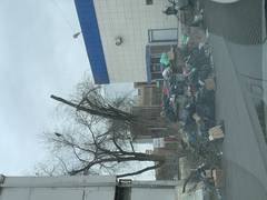 Мусор в центре