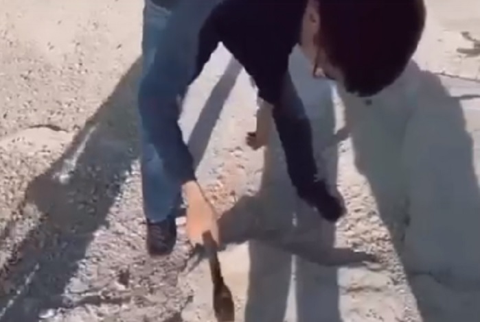 Кадр видео