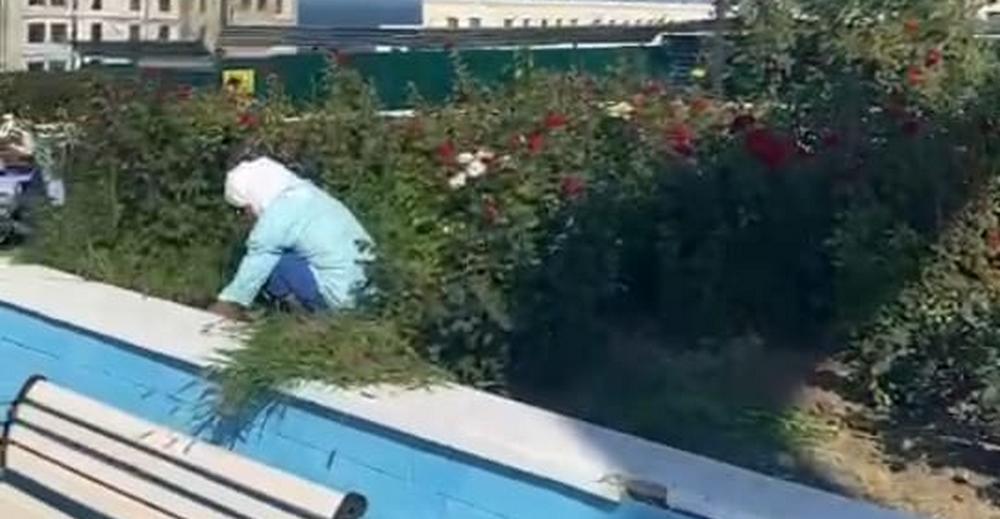 Скрин видео