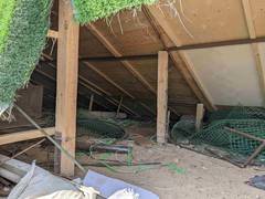 Тяп-ляп тюльпаны или фанера и рейки за 15 миллионов