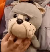 Помогите пожалуйста найти мою плюшевую собачку