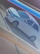 Украли породистого щенка