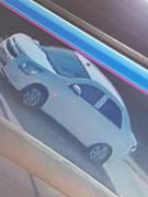 Украли породистого щенка