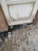 Слив сточных вод в прибрежной зоне