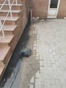 Слив сточных вод в прибрежной зоне