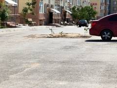 Безнадёга.kz