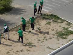 Жадность или законность? Споры о парковке