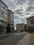 Домашний кот потеряшка! Найдись, хозяин!