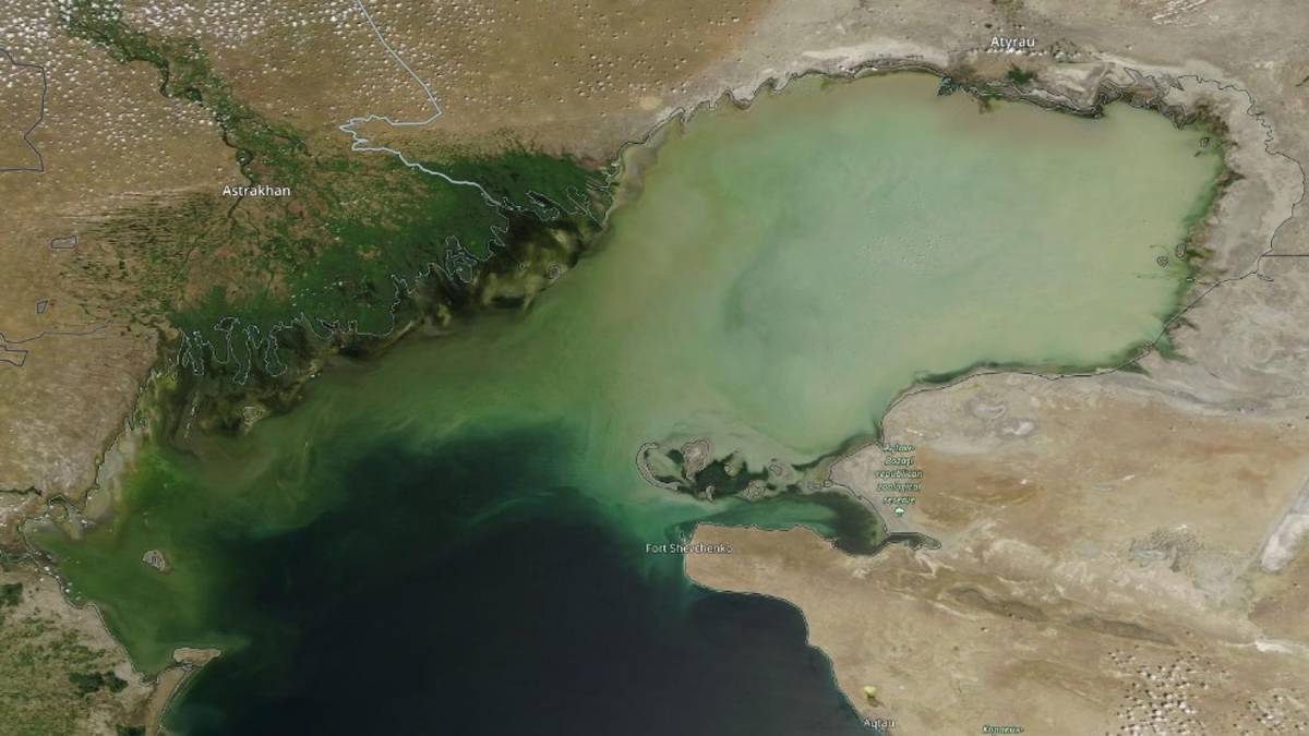 Космический снимок северной части Каспийского моря, 12 июля 2023 г. (Снимок проекта «NASA») // Фото: kazhydromet.kz