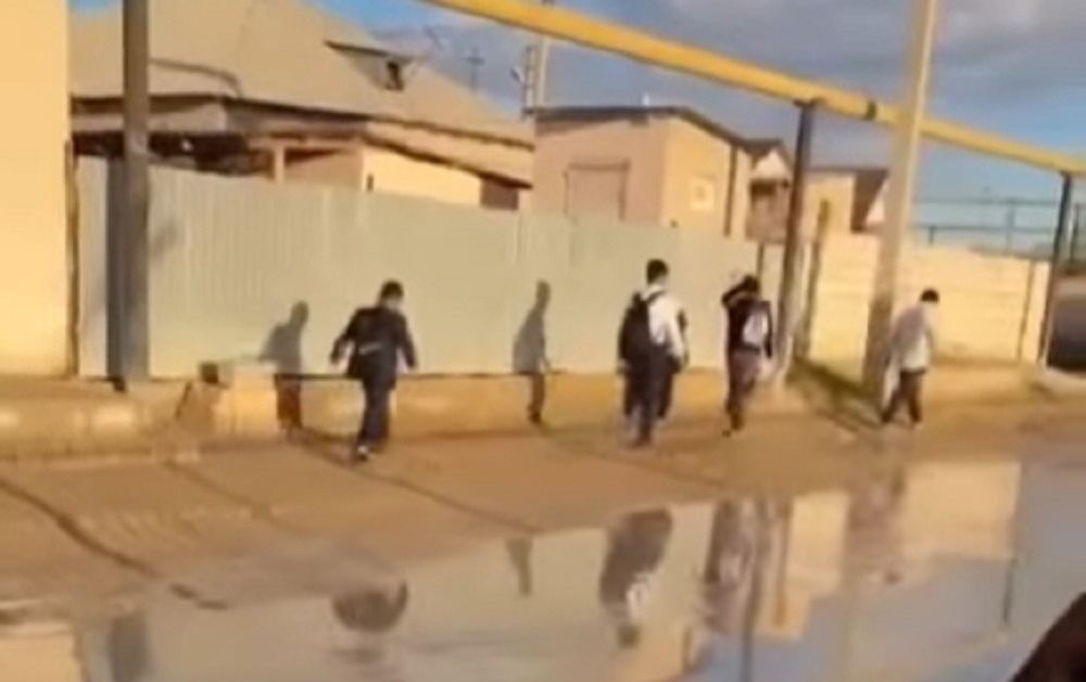 Кадр видео