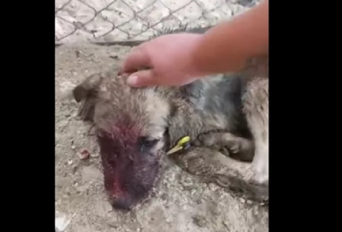 Кадр видео