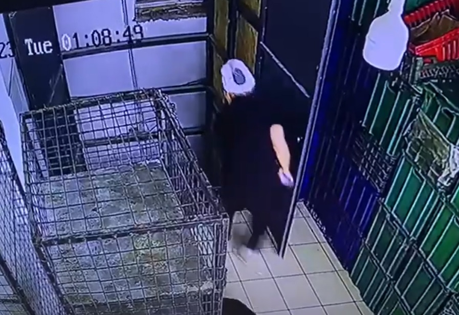 Кадр видео