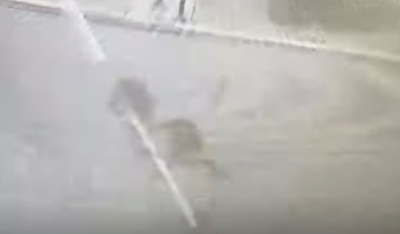 Кадр видео