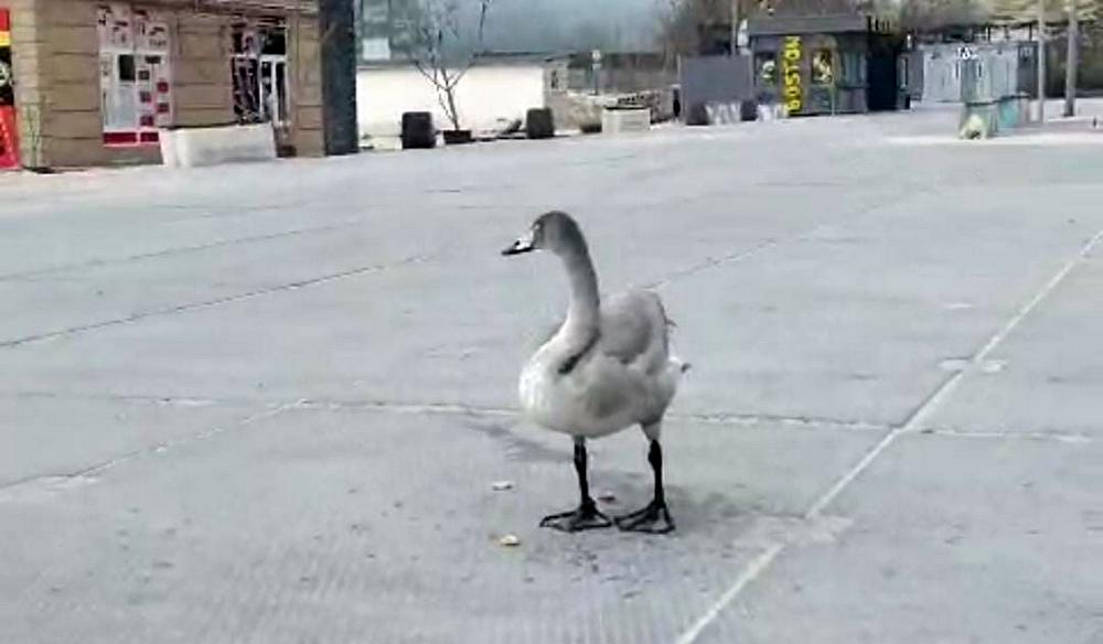 Кадр видео