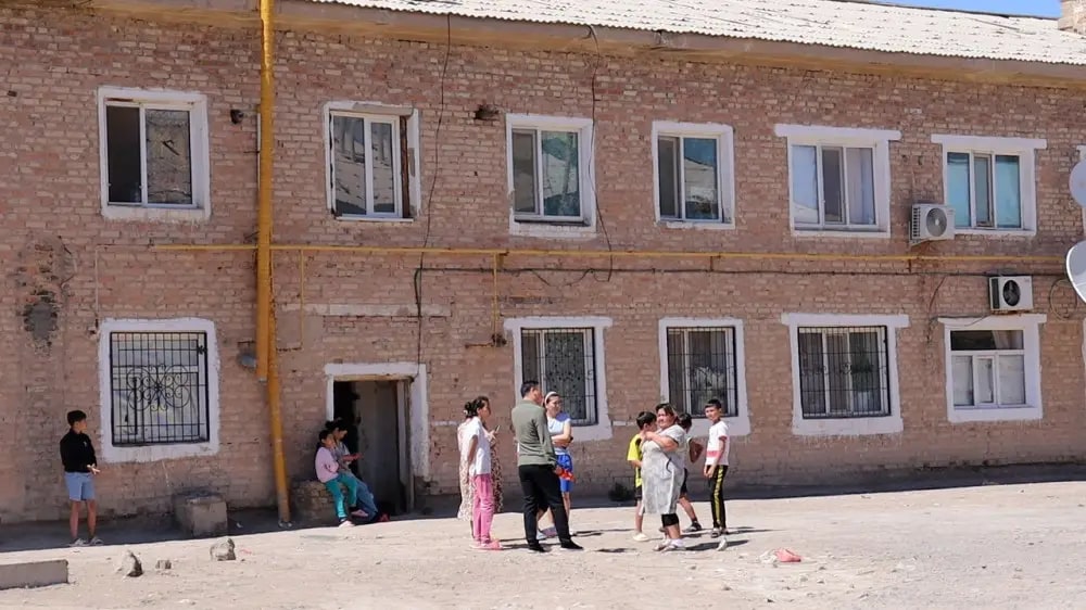 Алабай едва не растерзал мальчика в Кызылординской области. ВИДЕО