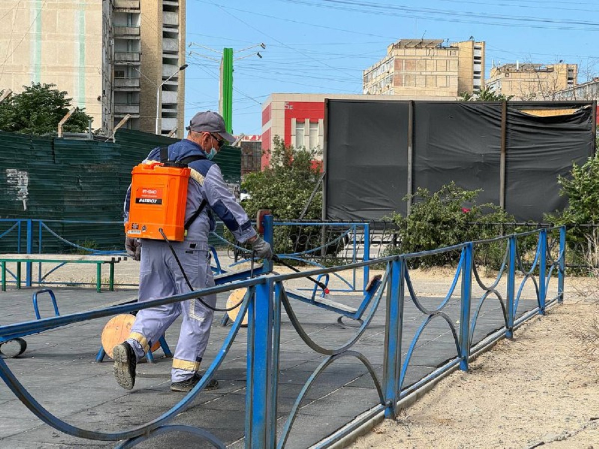 В Актау травят блох