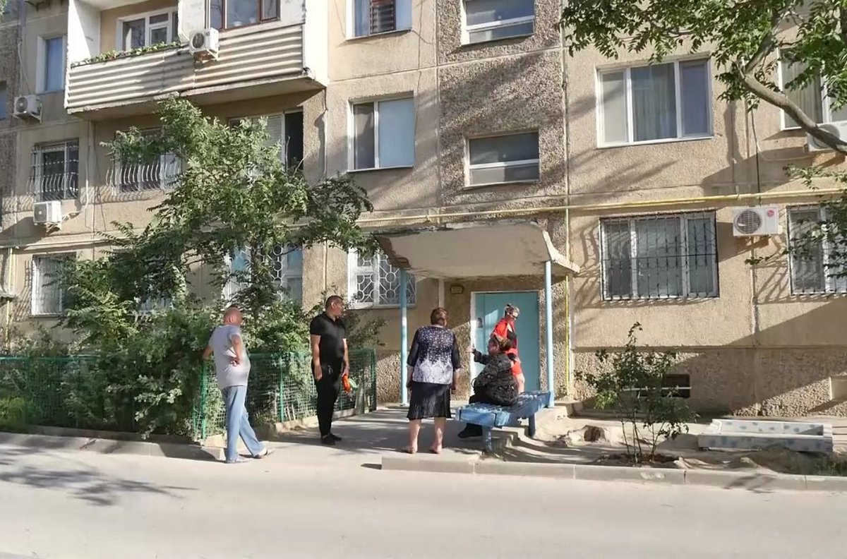 От засилья блох страдают жители многоэтажек в Актау