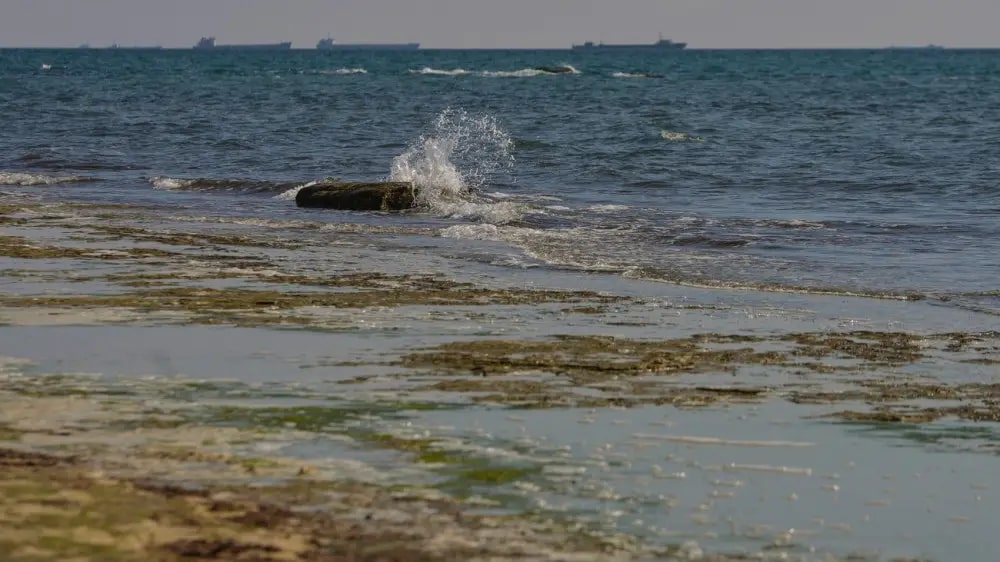 Уровень воды в Каспийском море повысился