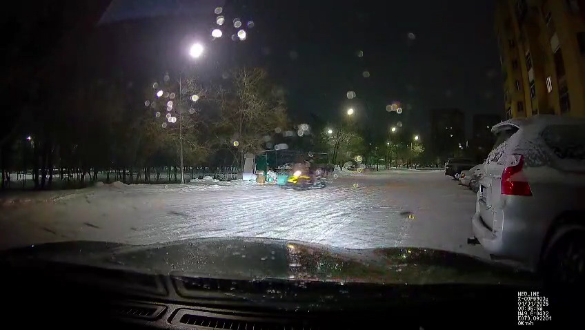 Необычного нарушителя задержали в центре Караганды в новогоднюю ночь
