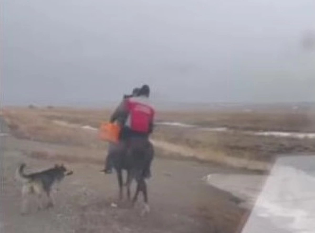 В Казахстане из-за бездорожья фельдшер на коне добрался до пациентки (видео)