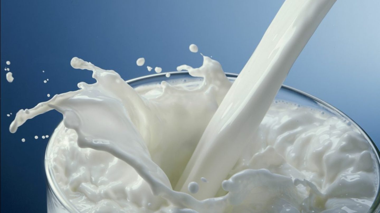 В Казахстане начнут выпускать уникальный продукт
